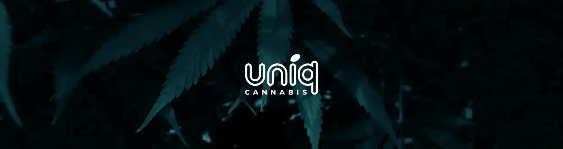About Uniq Cannabis Dispensary Interior view of Uniq Cannabis dispensary showcasing premium cannabis products and modern customer experience.