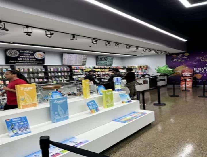 Best Weed Dispensary in Monroe